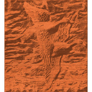 Two Flying Ducks (2)